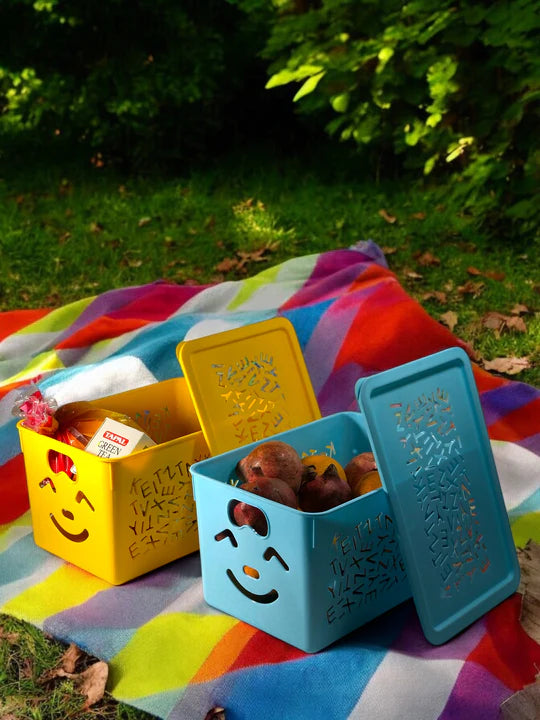 3 Pcs Set of Multipurpose Storage Box with Lid